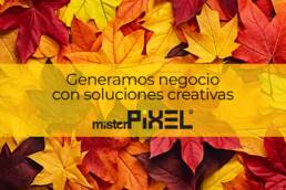 Estadisticas marketing digital Mister Pixel